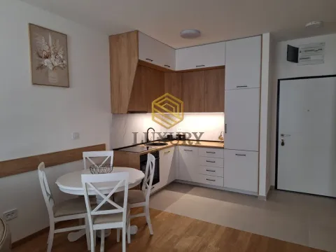 Izdavanje, jednosoban stan, 48m², Stari Aerodrom, Podgorica - image 3