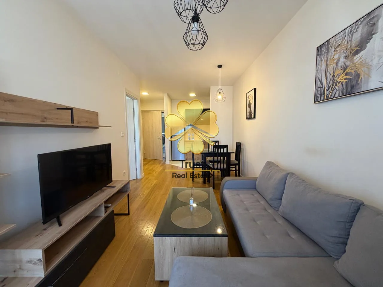 Modern living room with a sofa and TV unit.
