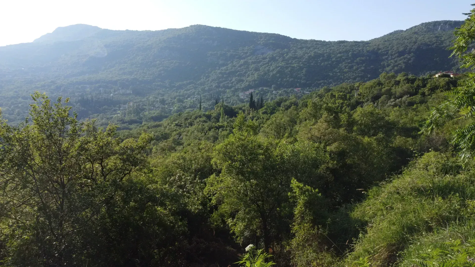 Prodaja, plac, 17000m², Lukovo, Nikšić