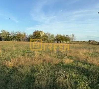 Prodaja, plac, 4929m², Ostalo, Podgorica - image 4