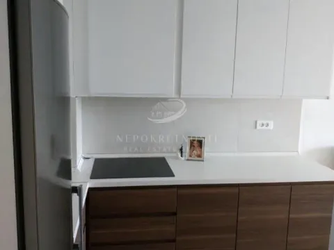 Izdavanje, dvosoban stan, 54m², Palilula Sve Podlokacije, Beograd - image 4