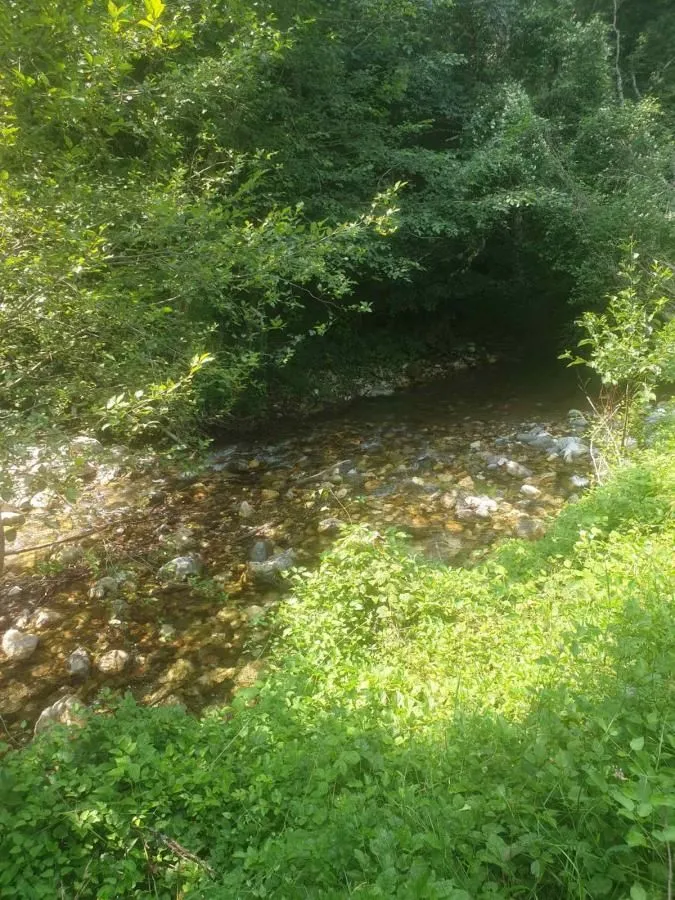 Prodaja, plac, 600m², Kolašin, Crna Gora