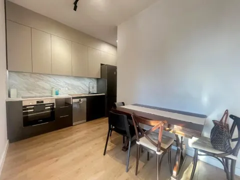 Rent, two bedroom apartment, 48m², Tašmajdan, Palilula Sve Podlokacije - image 18