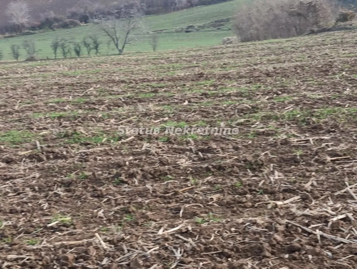 Prodaja, plac, 322m², Sremski Karlovci, Novi Sad