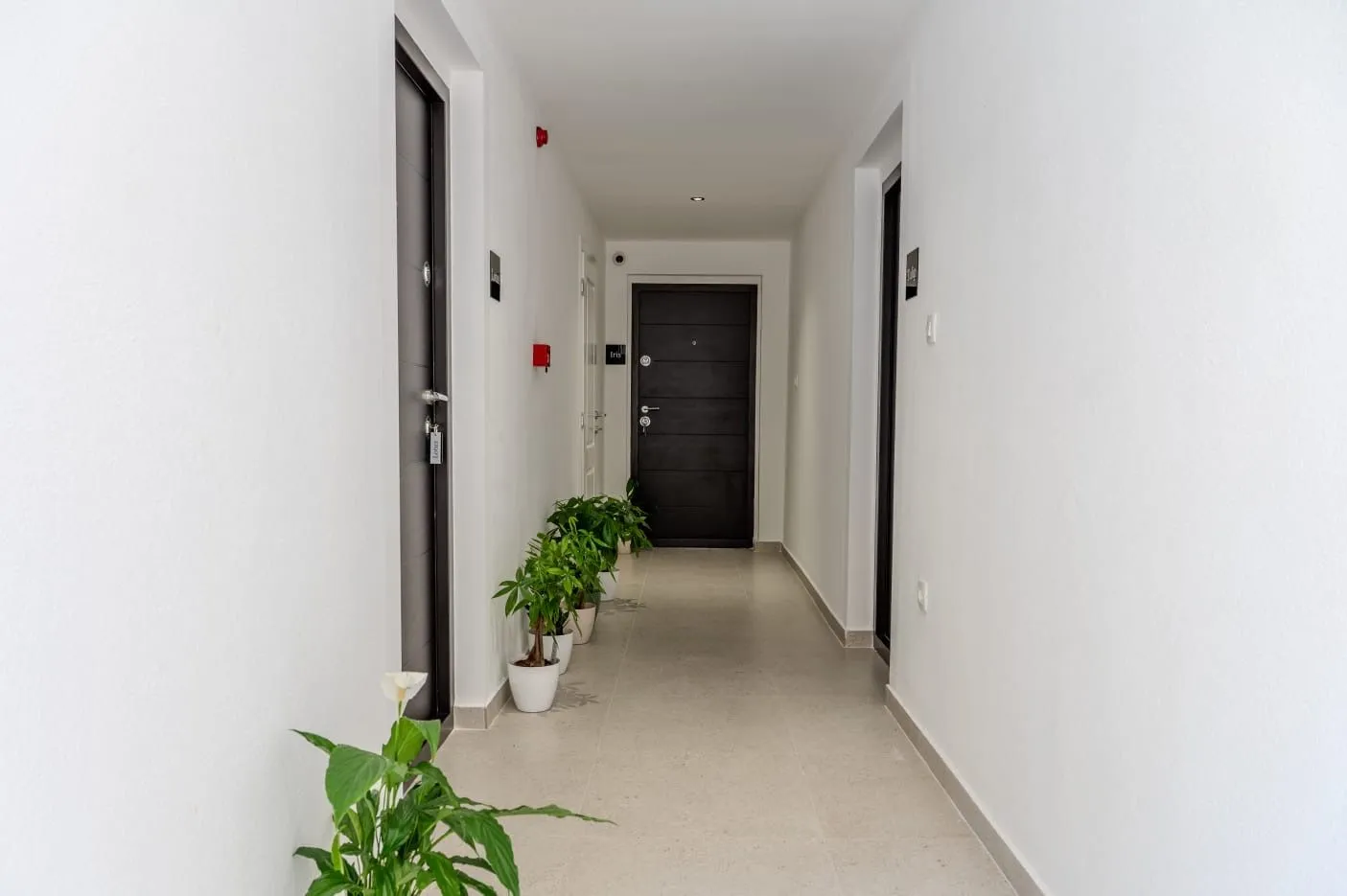 Izdavanje, dvosoban stan, 75m², Orahovac, Kotor