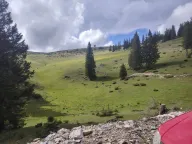 Prodaja, plac, 1000m², Bijelo Polje, Crna Gora - image 1