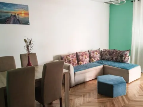 Izdavanje, jednosoban stan, 48m², Stari Aerodrom, Podgorica