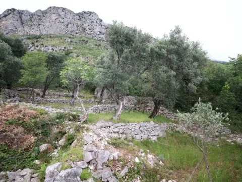 Prodaja, plac, 2650m², Budva, Crna Gora - image 6