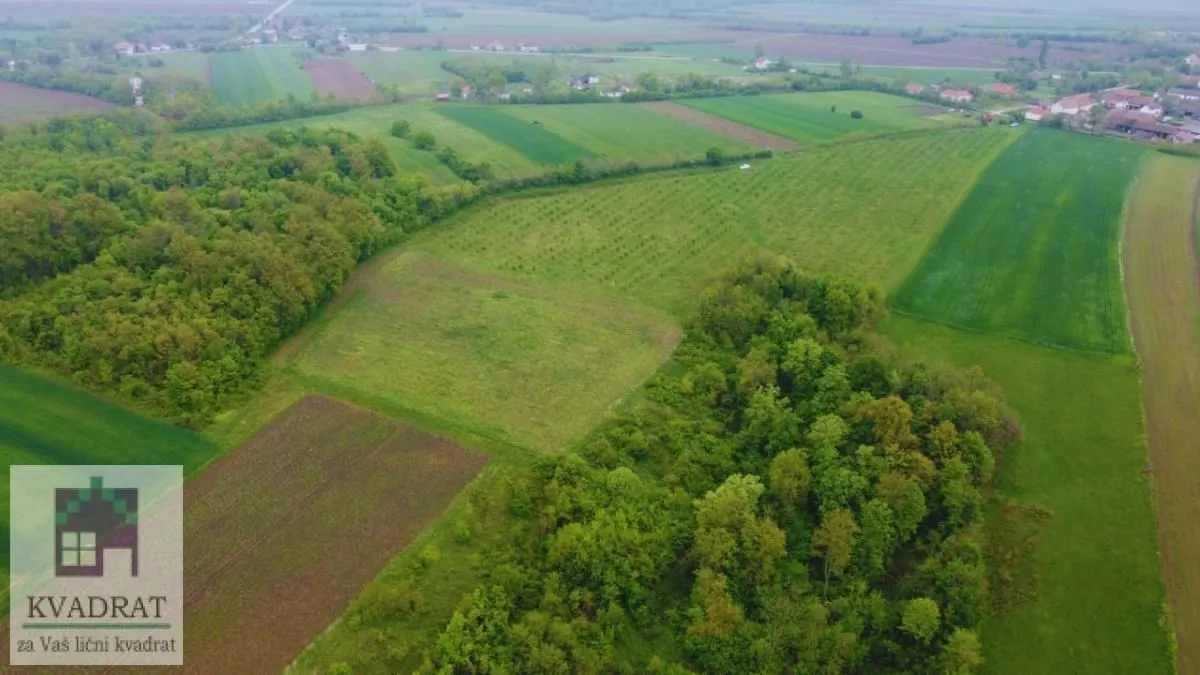Prodaja, plac, 38000m², Kožuar, Ub