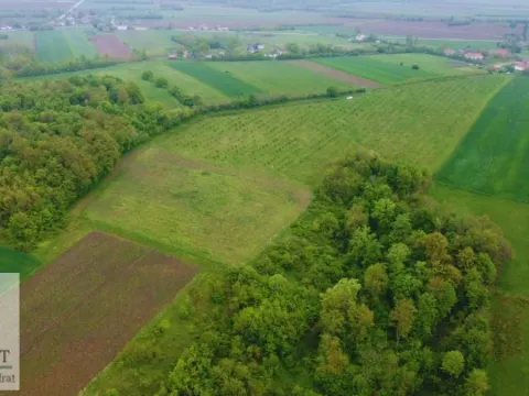 Sale, land lot, 38000m², Kožuar, Ub - image 12