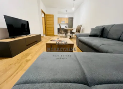 Izdavanje, jednosoban stan, 48m², New City, Podgorica - image 3