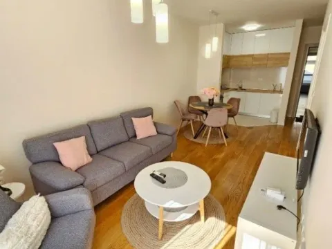 Izdavanje, jednosoban stan, 50m², Central Point, Podgorica - image 5