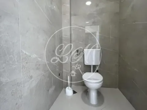 Izdavanje, poslovni prostor, 228m², Altina, Beograd - image 4