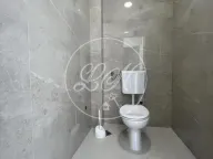 Izdavanje, poslovni prostor, 228m², Altina, Beograd - image 4