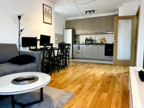 Sale, one bedroom apartment, 47m², Zabjelo, Podgorica - image 2