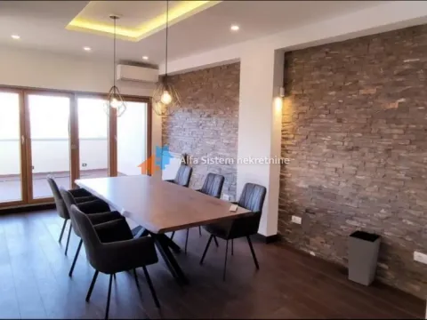 Izdavanje, stan, 231m², Vračar Hram, Vračar Sve Podlokacije - image 4