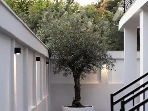 Prodaja, kuća, 424m², Tivat, Crna Gora - image 23