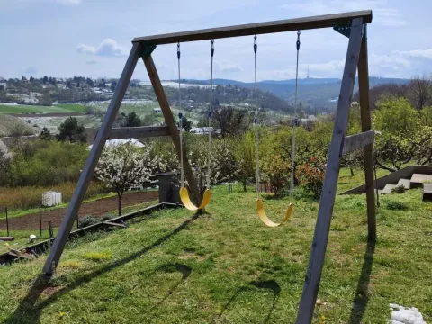 Prodaja, kuća, 337m², Sremska Kamenica, Petrovaradin - image 37