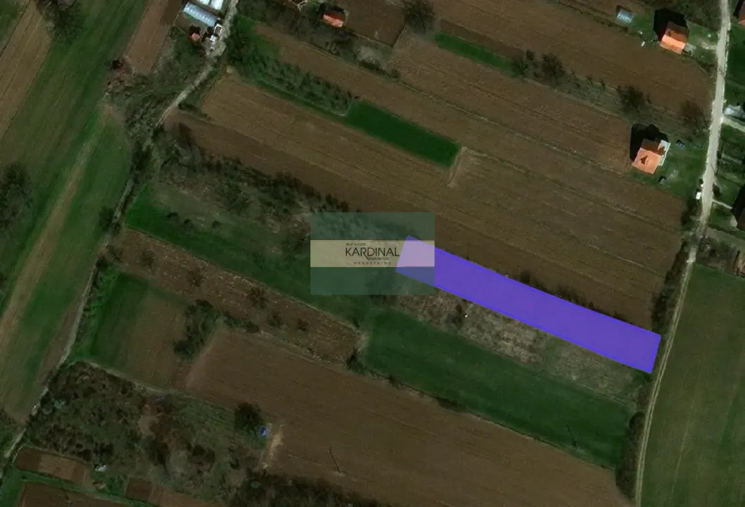 Prodaja, plac, 5980m², Vinorača, Jagodina