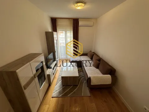 Izdavanje, jednosoban stan, 42m², Central Point, Podgorica - image 8