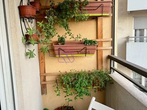 Izdavanje, jednosoban stan, 44m², Stari Aerodrom, Podgorica - image 11