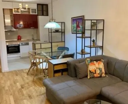 Izdavanje, jednosoban stan, 45m², Zabjelo, Podgorica - image 4