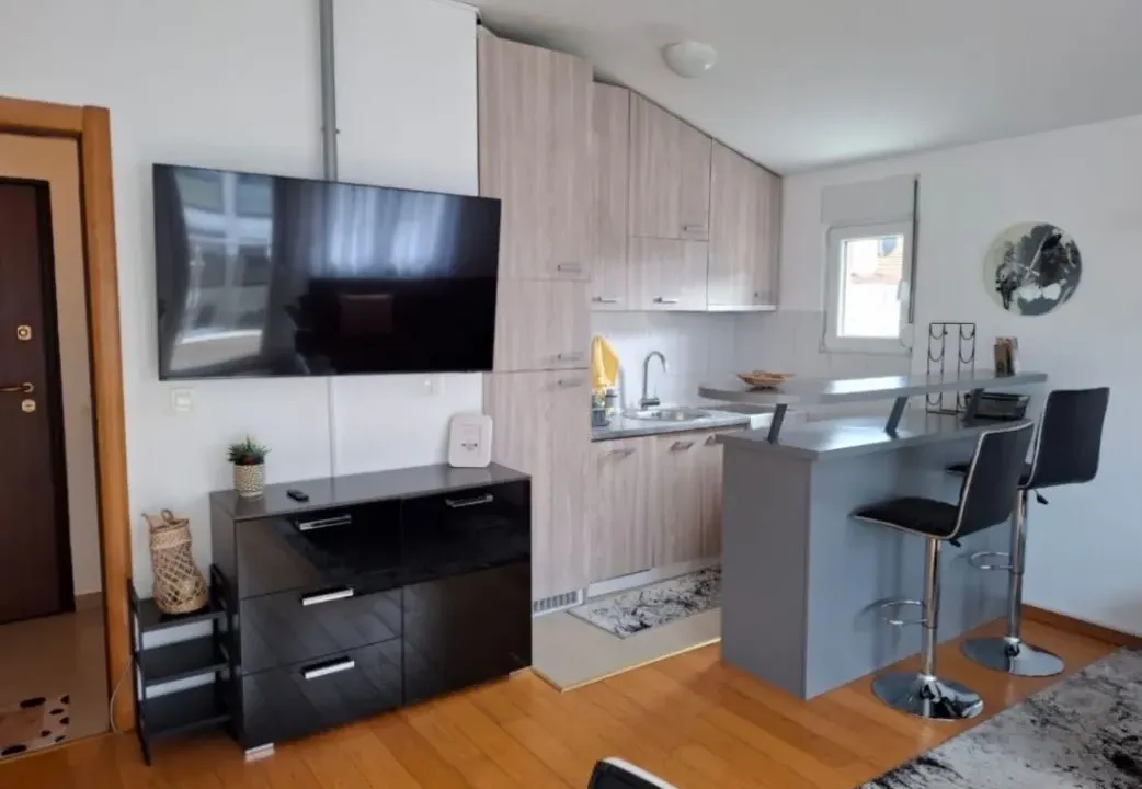 Izdavanje, jednosoban stan, 48m², Blok 9, Podgorica