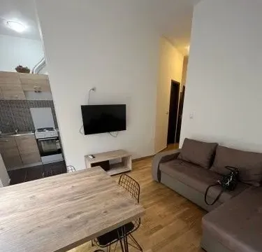 Izdavanje, jednosoban stan, 40m², Vezirov Most, Podgorica - image 5