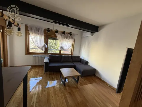 Izdavanje, dvosoban stan, 56m², Južni Bulevar, Vračar Sve Podlokacije - image 10