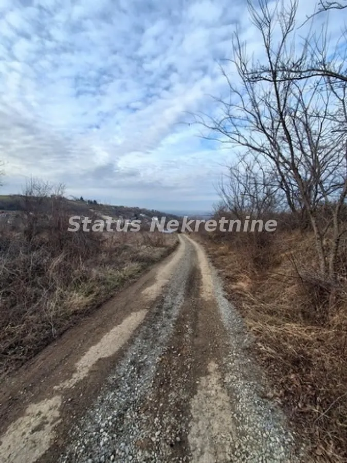 Prodaja, plac, 14994m², Ledinci, Petrovaradin