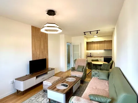 Rent, one bedroom apartment, 49m², Central Point, Podgorica - image 3