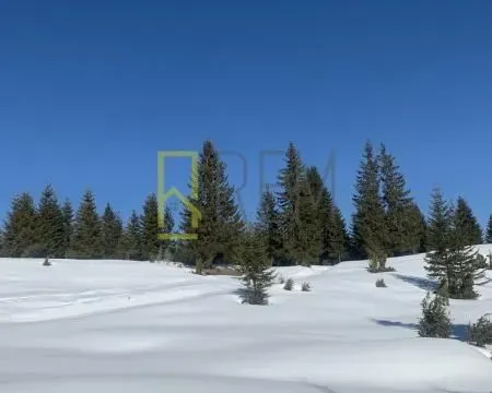 Prodaja, plac, 400m², Žabljak, Crna Gora - image 3