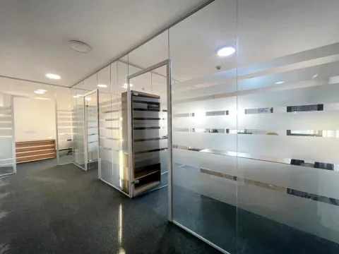 Rent, office space, 233m², Južni Bulevar, Vračar Sve Podlokacije - image 5