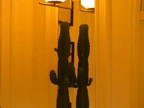 Prodaja, ugostiteljski objekat, 300m², Stari Grad, Beograd - image 12