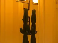 Prodaja, ugostiteljski objekat, 150m², Andrićev Venac, Beograd - image 12