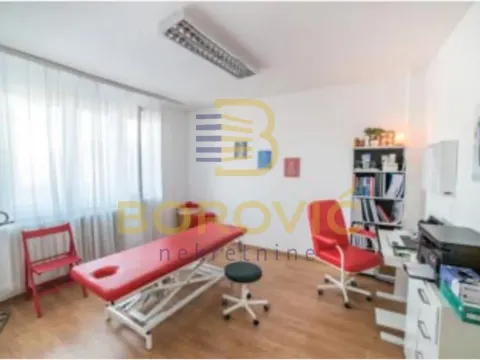 Izdavanje, dvosoban stan, 57m², Botanička Bašta, Palilula Sve Podlokacije - image 3