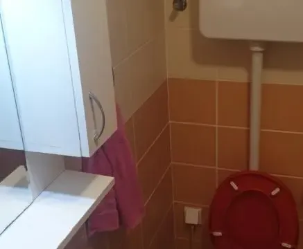 Rent, studio apartment, 28m², Grbavica, Novi Sad Sve Podlokacije - image 10