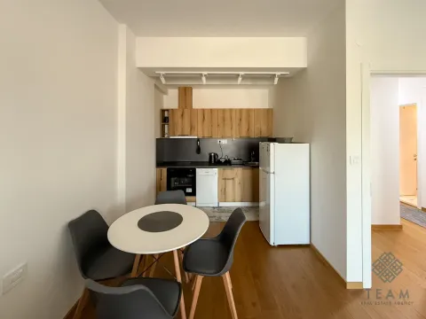 Rent, one bedroom apartment, 59m², Stara Varoš, Podgorica - image 5