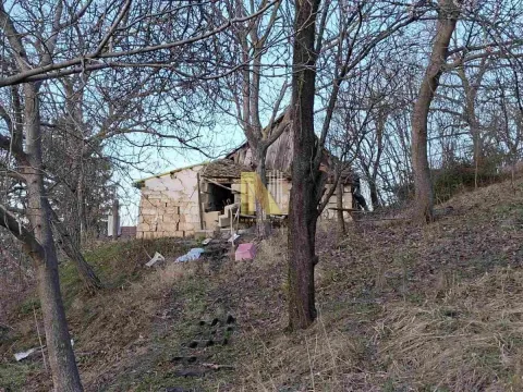 Stara ruševna kuća u šumi. - image 10
