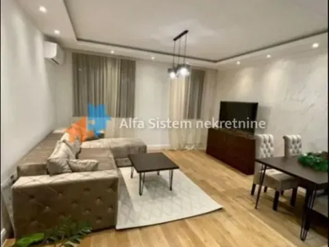 Izdavanje, dvosoban stan, 43m², Vračar Sve Podlokacije, Beograd - image 2