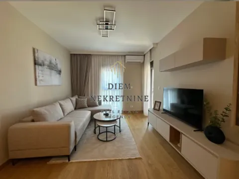 Izdavanje, jednosoban stan, 46m², Centar, Podgorica - image 5