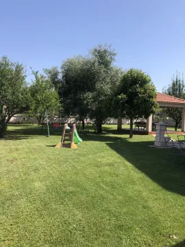 Spacious green yard with trees, a small children's slide, and a covered gazebo. - image 3
