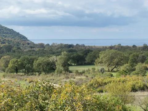 Prodaja, plac, 7665m², Budva, Crna Gora - image 4