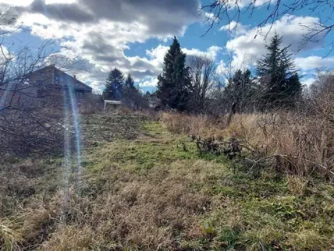 Prodaja, plac, 800m², Sremska Kamenica, Petrovaradin - image 5