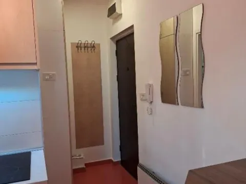 Izdavanje, jednosoban stan, 28m², Stari Grad, Beograd - image 6