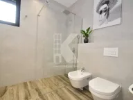 Izdavanje, kuća, 190m², Tološi, Podgorica - image 28