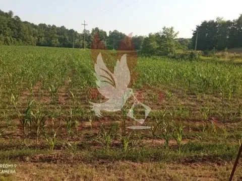 Prodaja, plac, 18200m², Sopot, Beograd - image 2