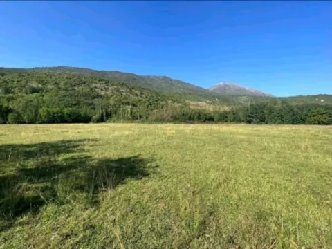 Prodaja, garsonjera, 5100m2, Danilovgrad