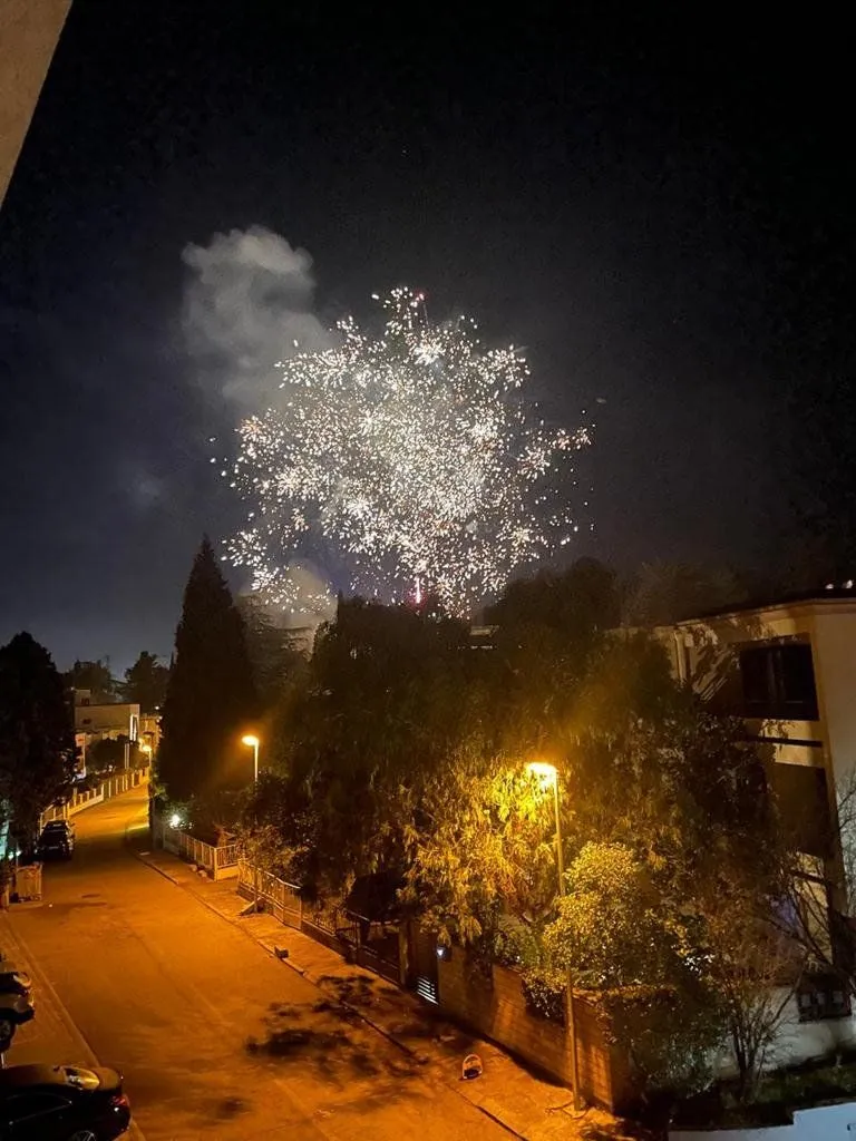 Night view showing a lit street and fireworks in the distance.