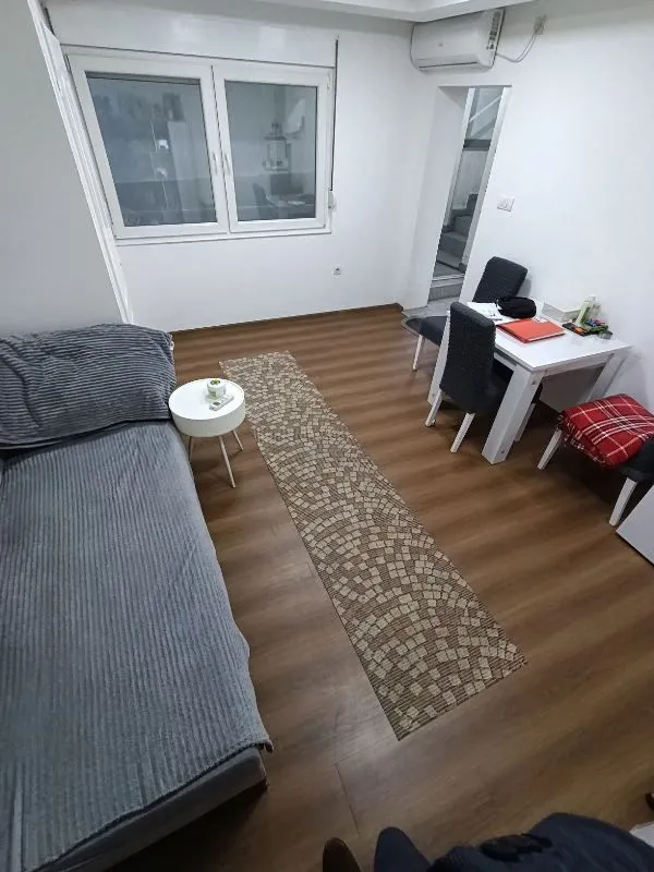 Manji dnevni boravak sa trosedom i trpezarijskim stolom sa stolicama.